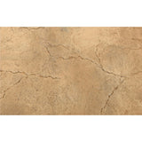 Bon Tool Cracked Calico Pattern Concrete Texture Roller by Bon Tool