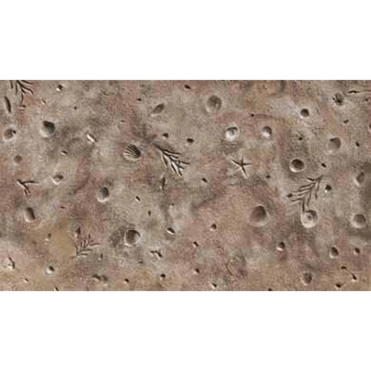 Bon Tool Gulf Coast Shells Texturing Skin by Bon Tool