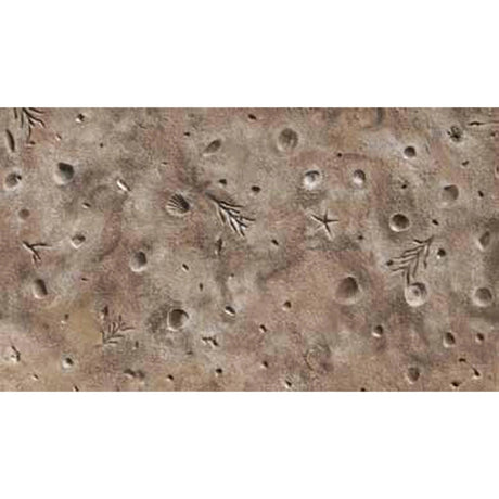 Bon Tool Gulf Coast Shells Texturing Skin by Bon Tool