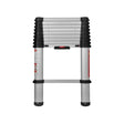 Telesteps Eco Line Telescopic Ladder 3m by Telesteps